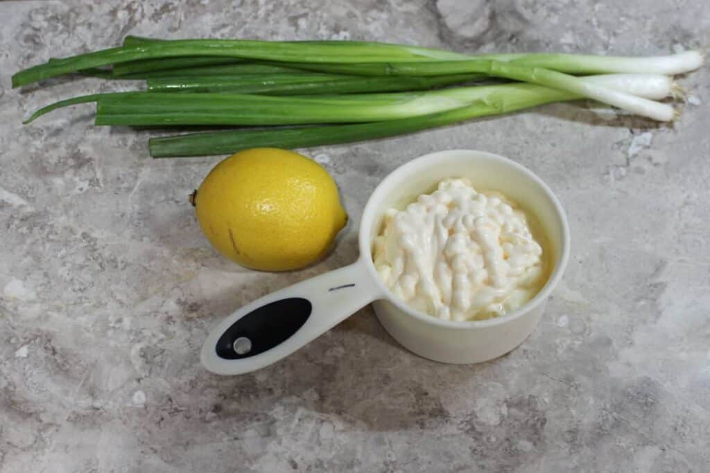 ingredients for green onion dip