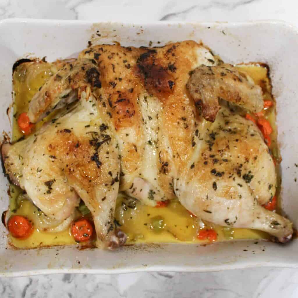 thanksgiving chicken in a pan
