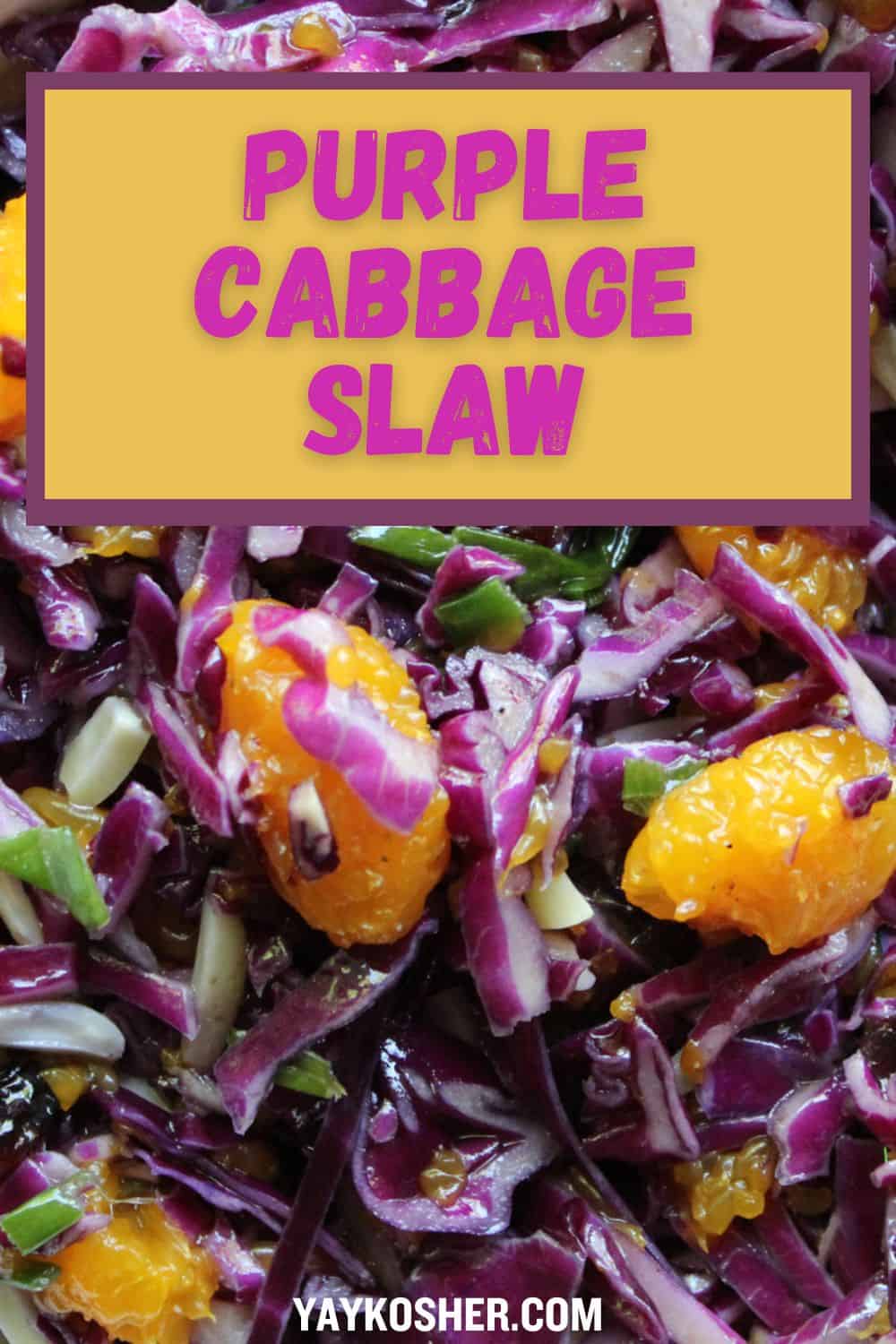 purple cabbage slaw pin