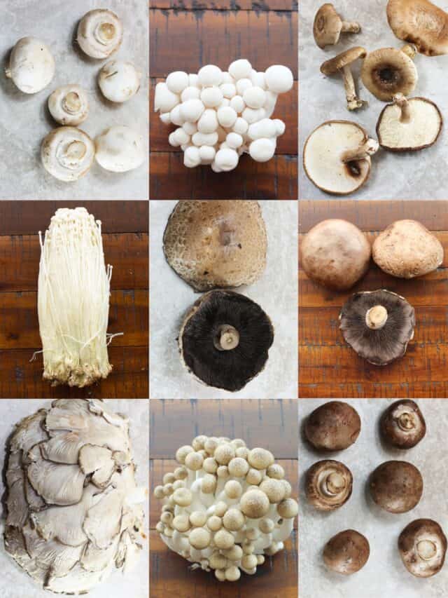 Yay Kosher Guide to Mushrooms